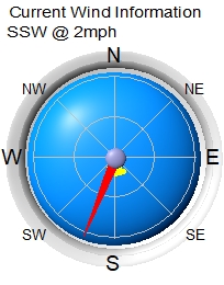 Wind Rose