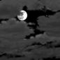 Tonight: Mostly cloudy, with a low around 47. West southwest wind 9 to 13 mph, with gusts as high as 25 mph. 