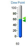 Dew Point Bulb